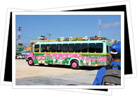 Playa de Carmen public bus