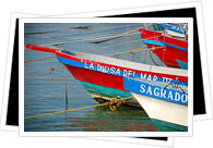 Playa de Carmen fishing boats