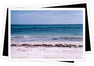 Playa de Carmen beach