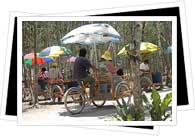 Playa de Carmen taxibike